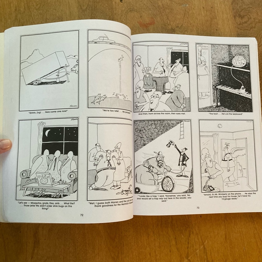 FarSide book bundle 📚 - Picture 16 of 16